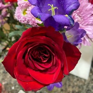 Meet your Posher, Maureen